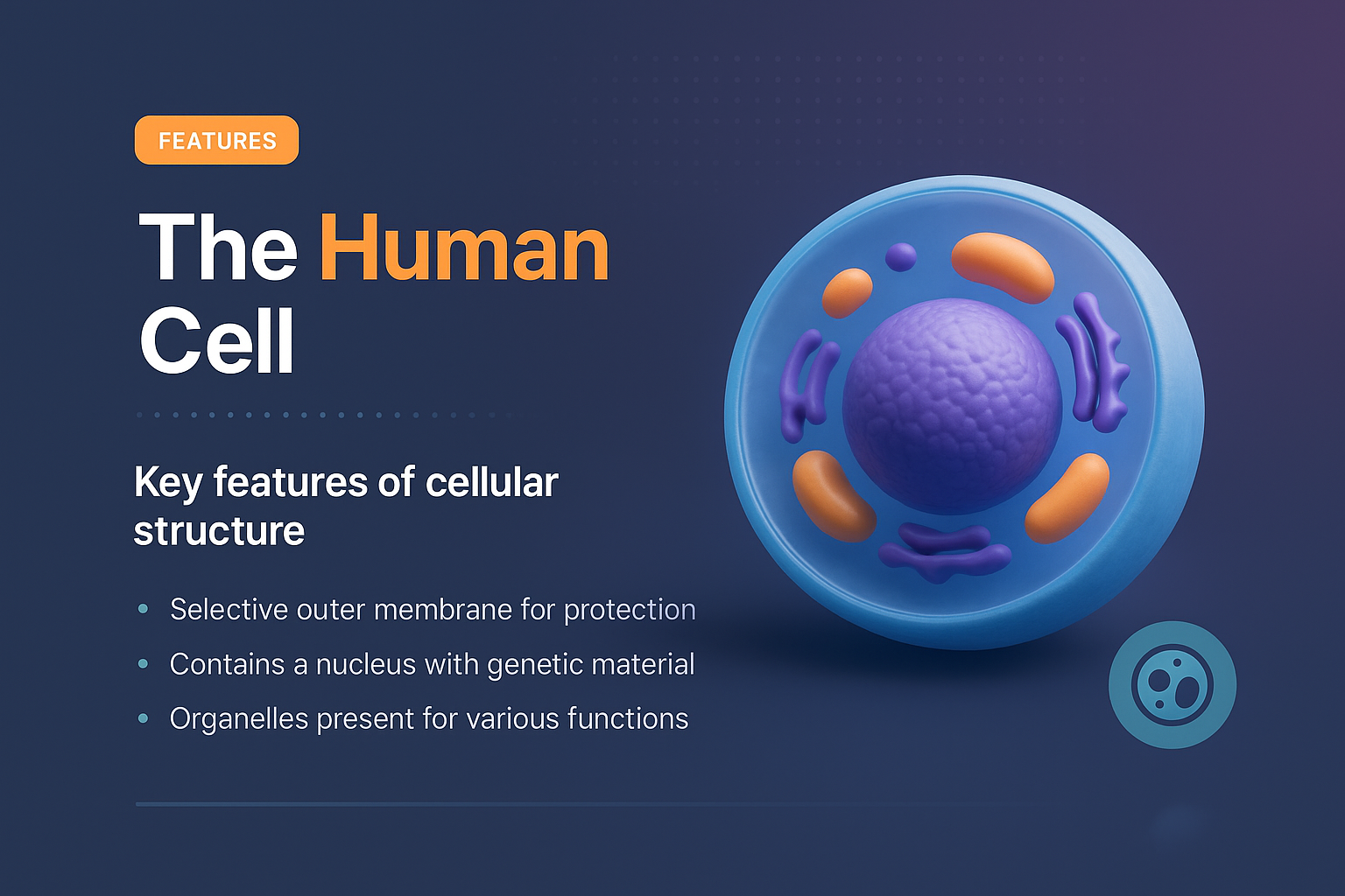 3D Illustration of Human Cell Features for Landing Page