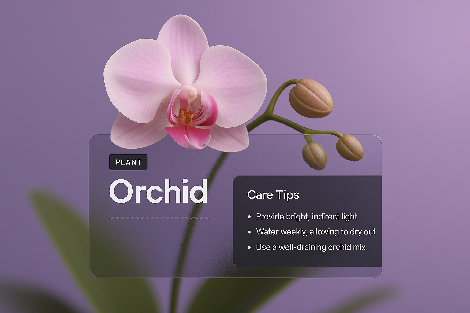 Elegant Orchid Design with Care Tips Overlay