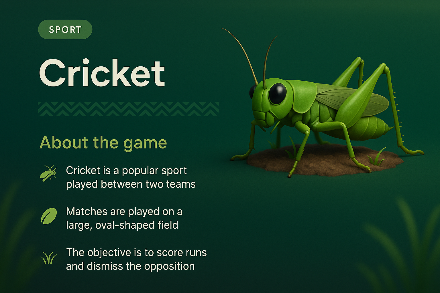 Cricket: Engaging Overview of the Game Features