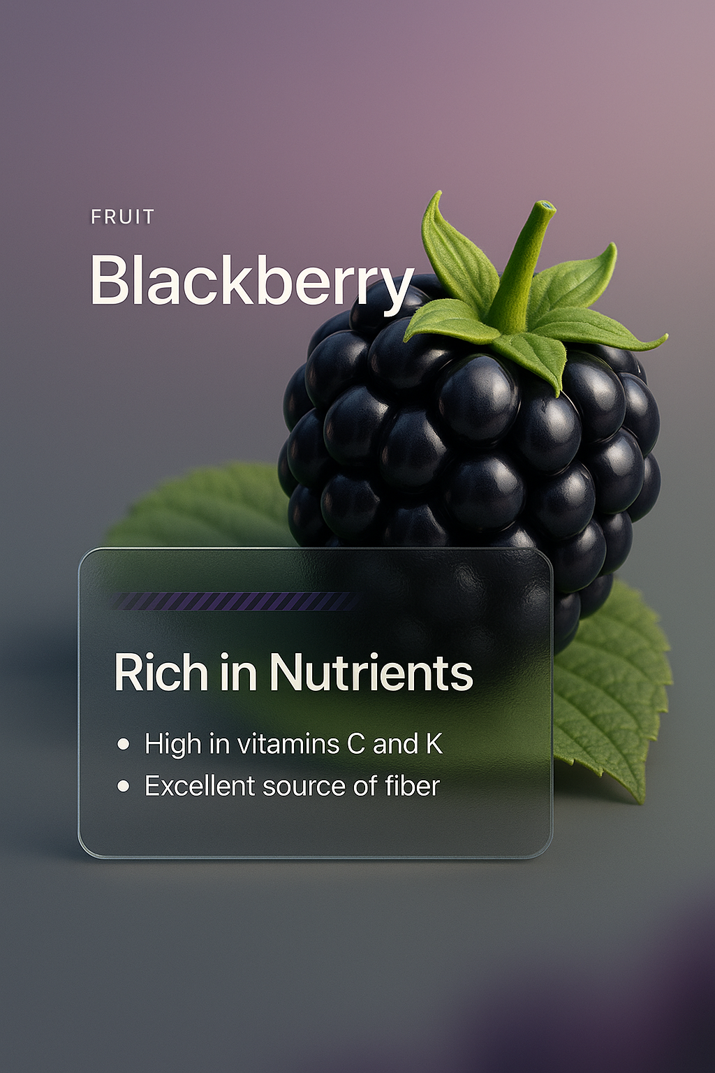 3D Illustration of Blackberry with Nutritional Information