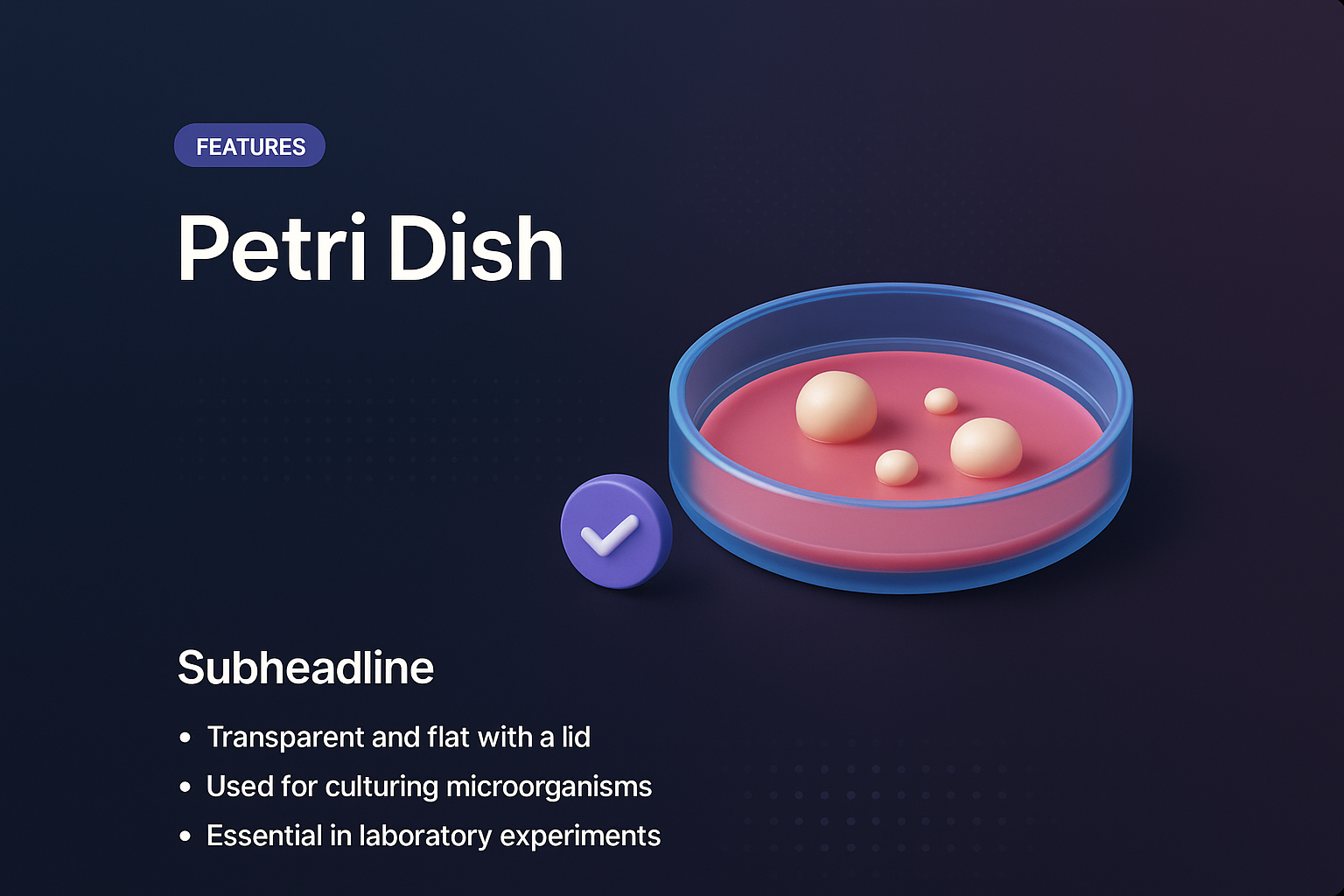 3D Illustration of a Petri Dish with Features Description
