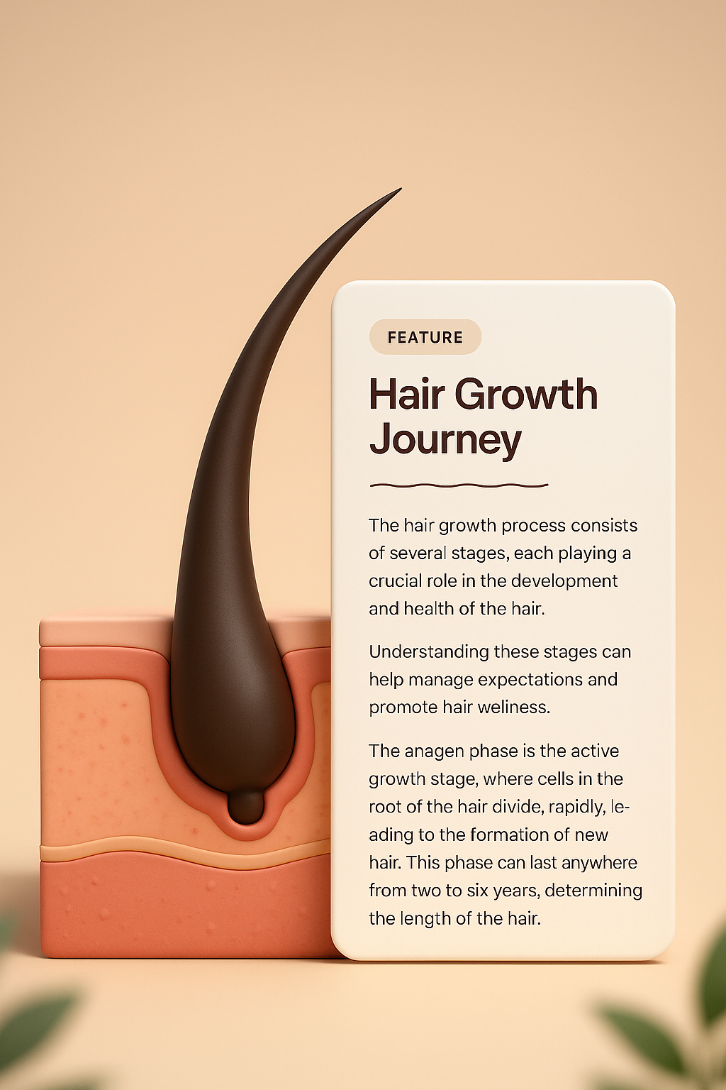 Exploring the Stages of Hair Growth Journey
