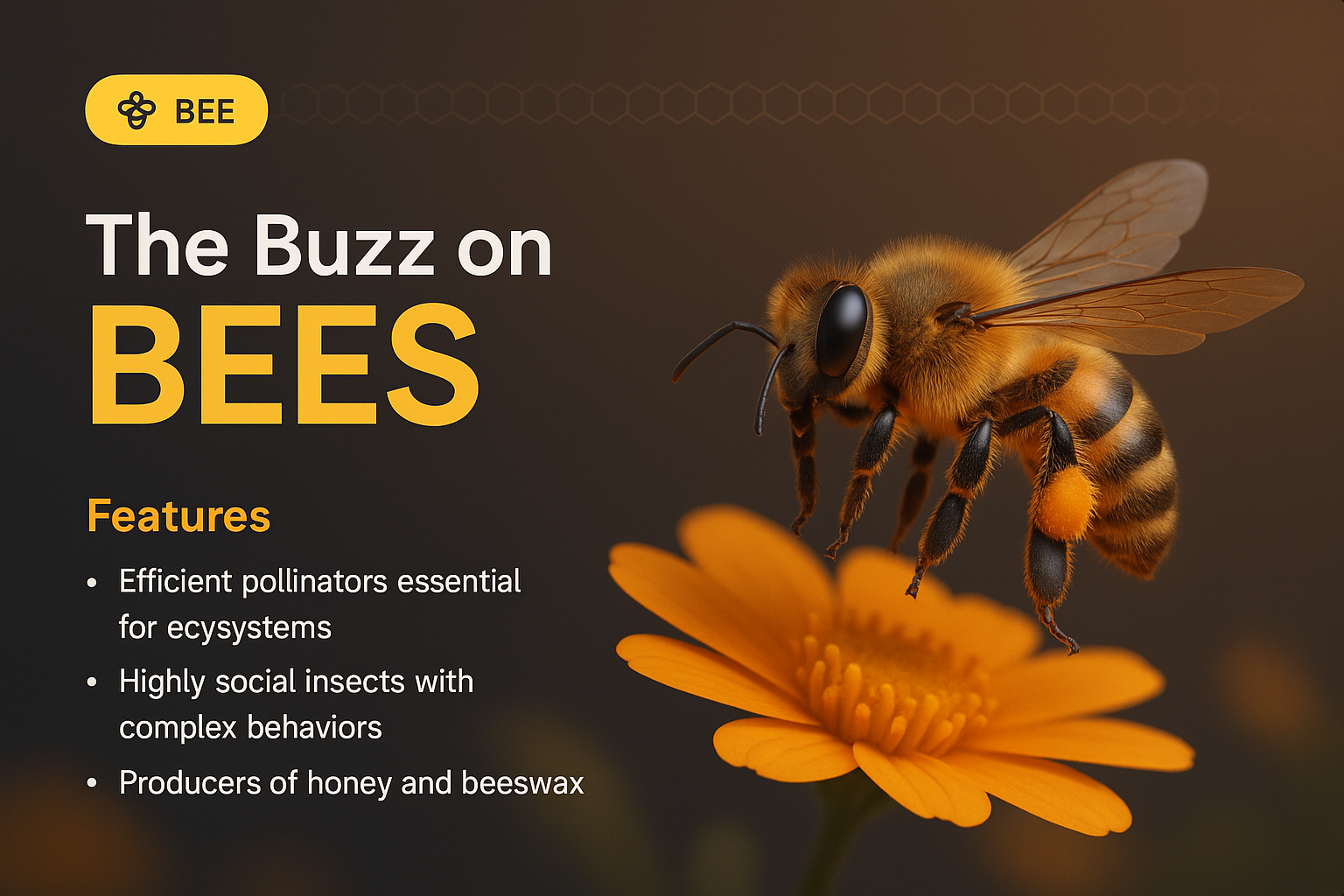 Stylish 3D Bee Illustration with Informative Features