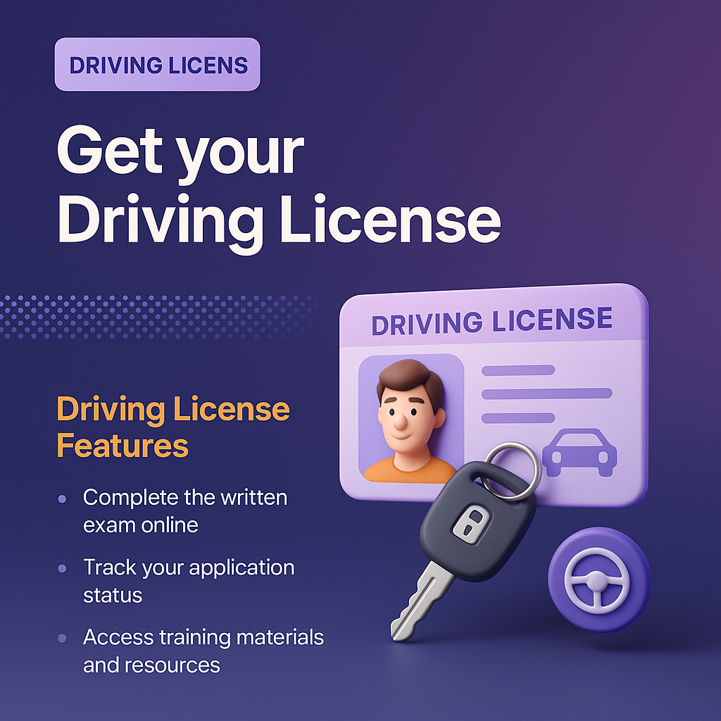 Driving License Visualization with Features and Graphics