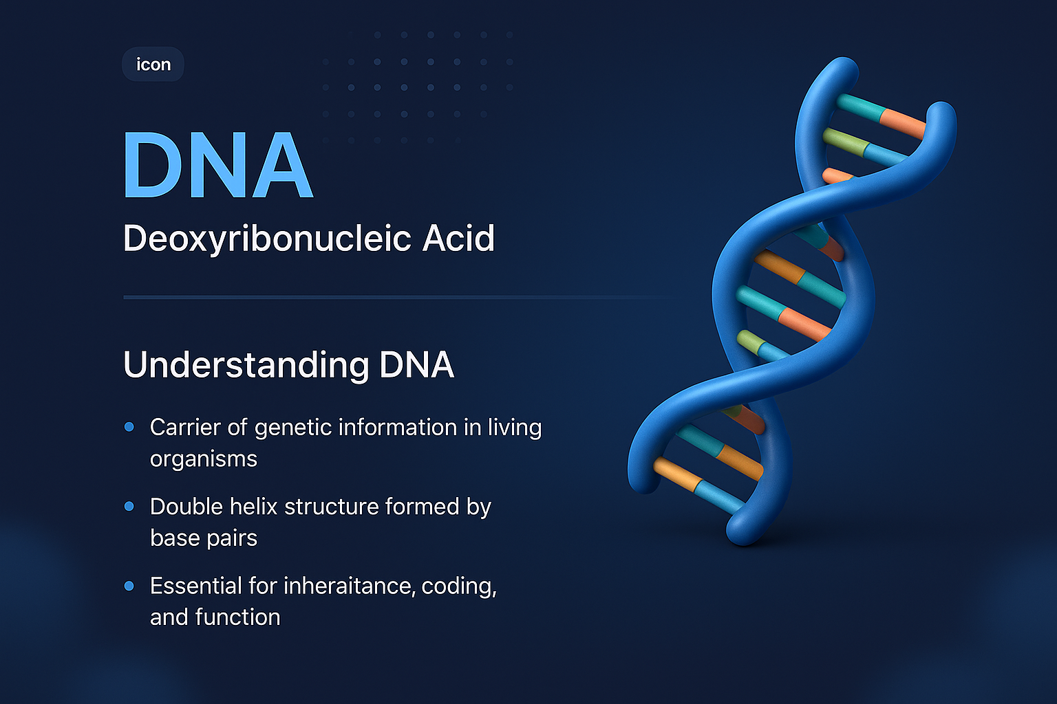 3D Visualization of DNA Structure and Functions