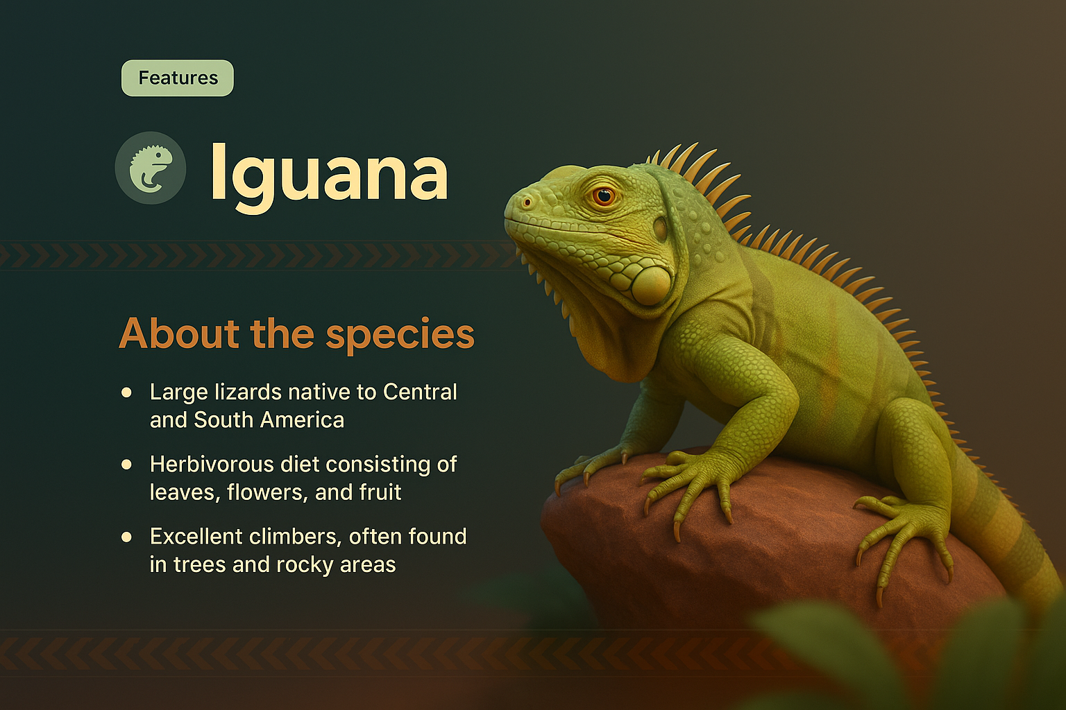 Vibrant Iguana Landing Page Design Featuring Unique Features