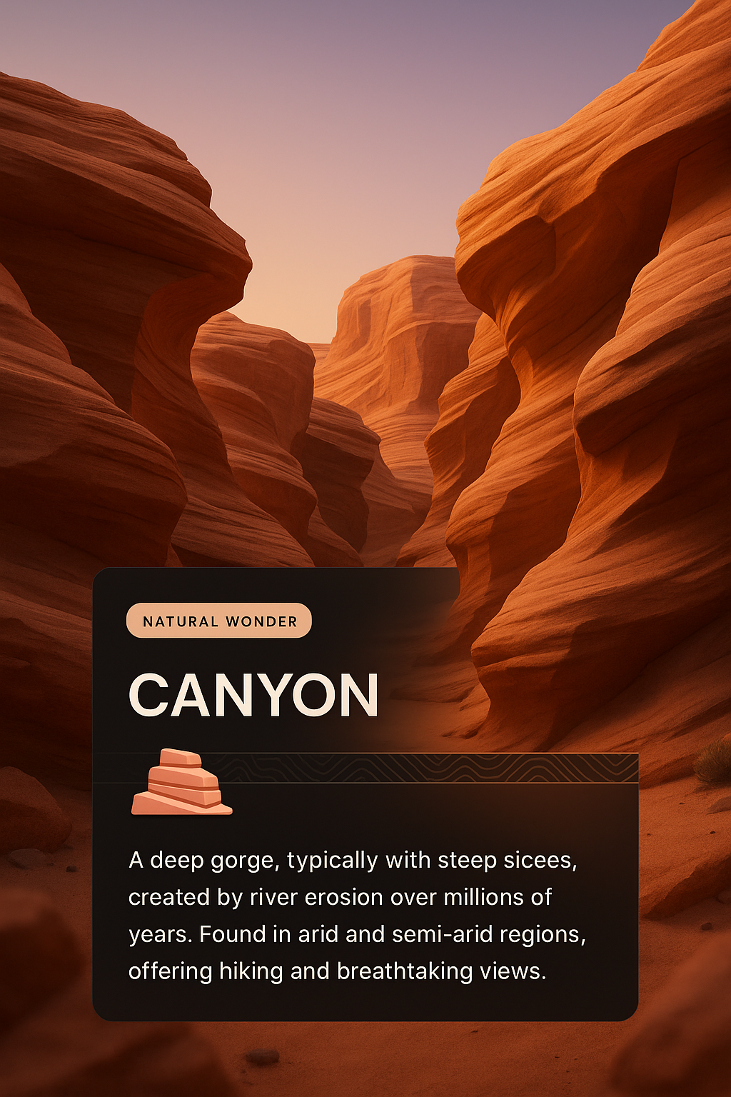 3D Canyon Web Composition with Informative Graphics