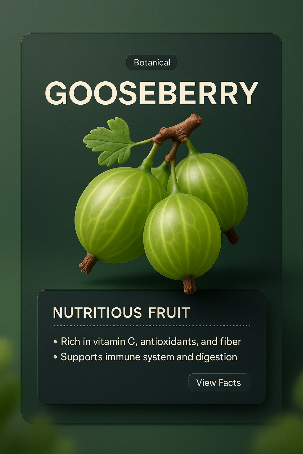 3D Illustration of Gooseberry with Informative Overlay
