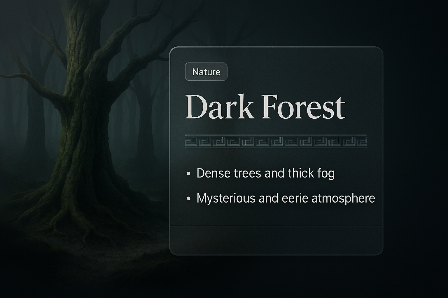 Mysterious Dark Forest Web Design Concept