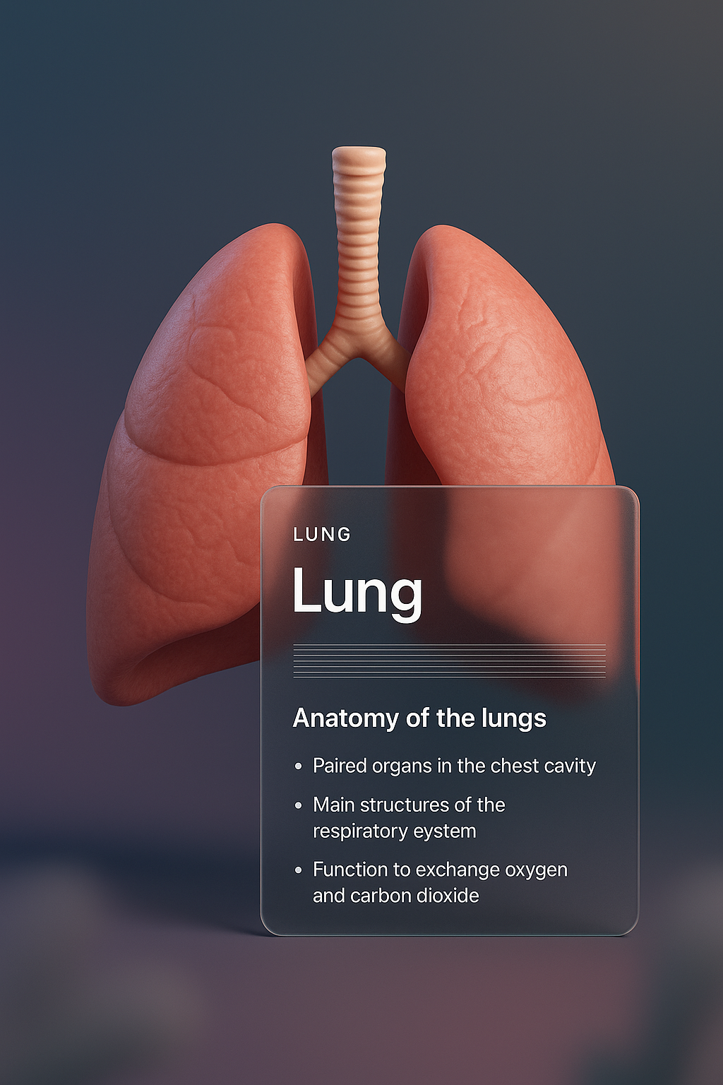 3D Illustration of Lung Anatomy for Web Design