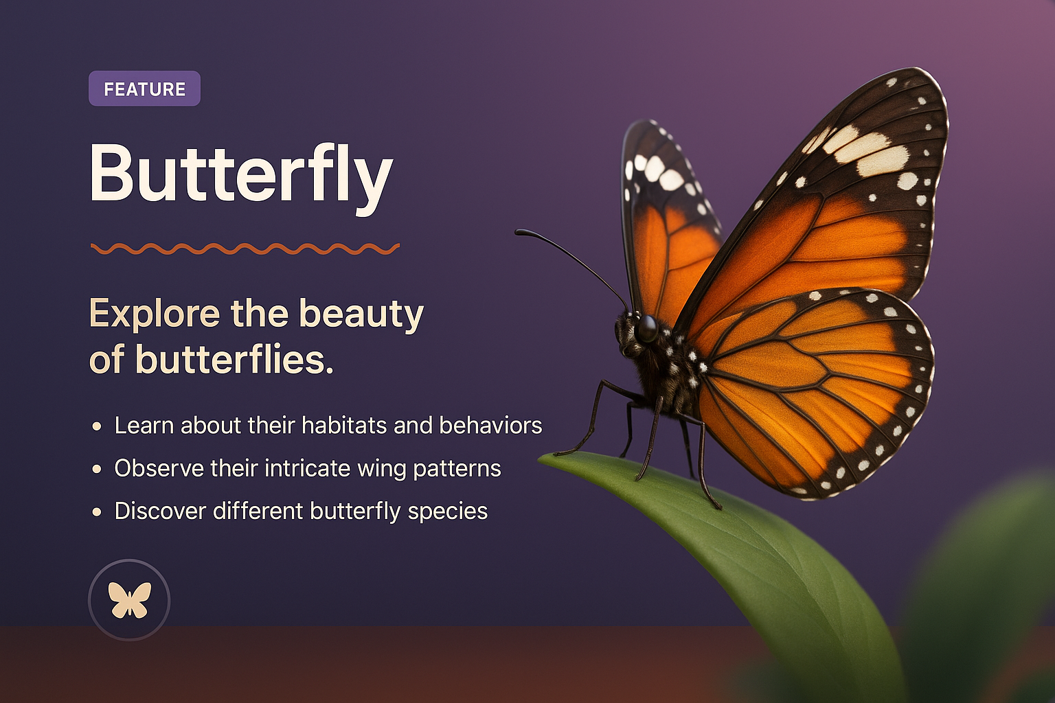 Stunning Butterfly Illustration with Feature Highlights