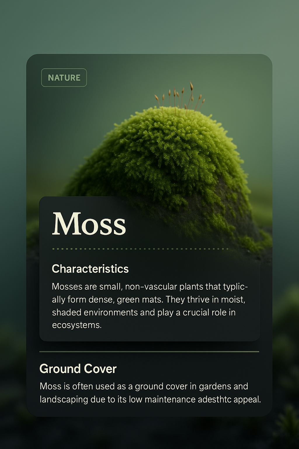 3D Illustration of Moss with Informative Overlay