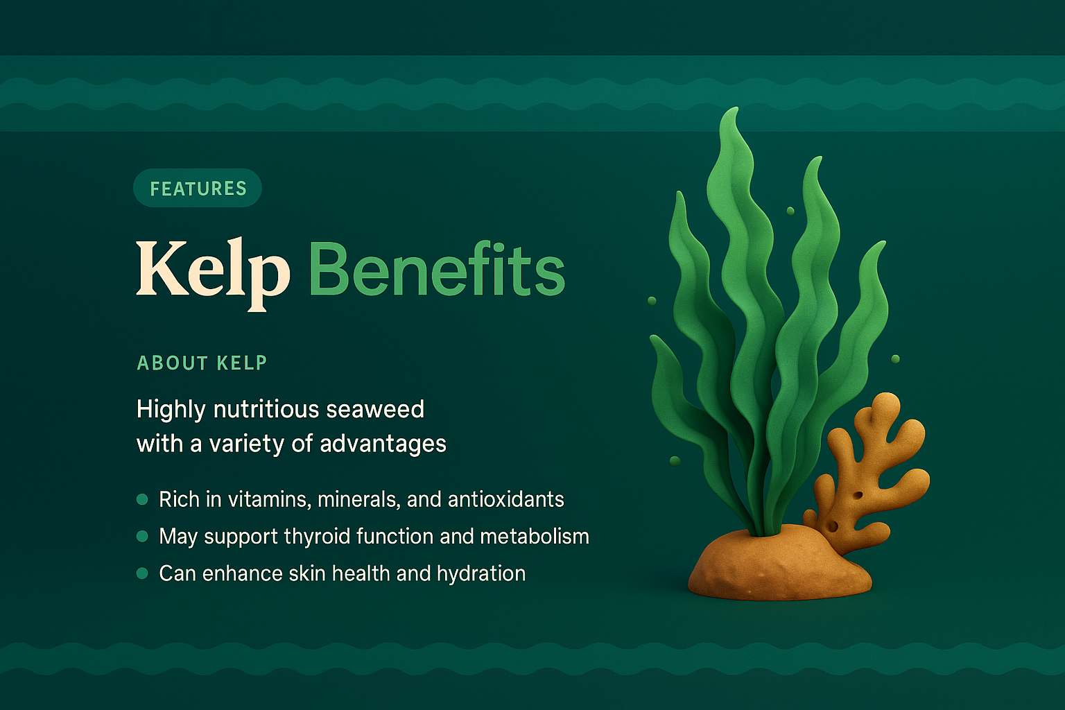 Explore the Nutritional Benefits of Kelp Seaweed
