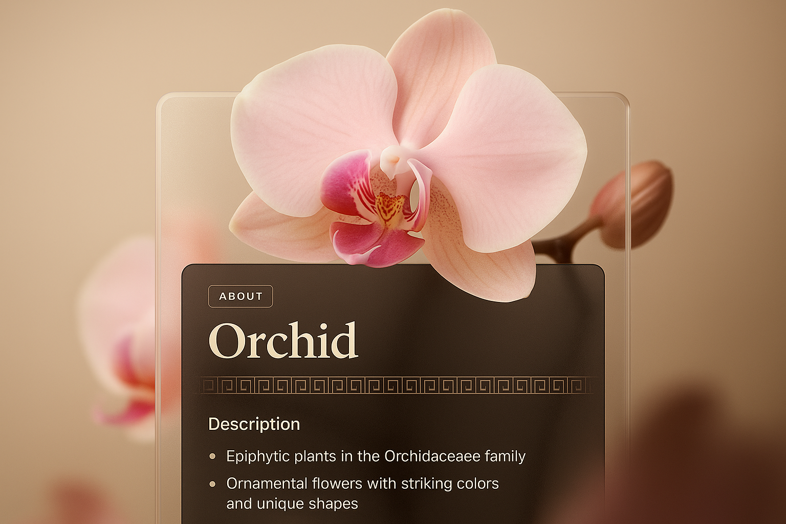 Elegant Orchid Design for Web Presentation