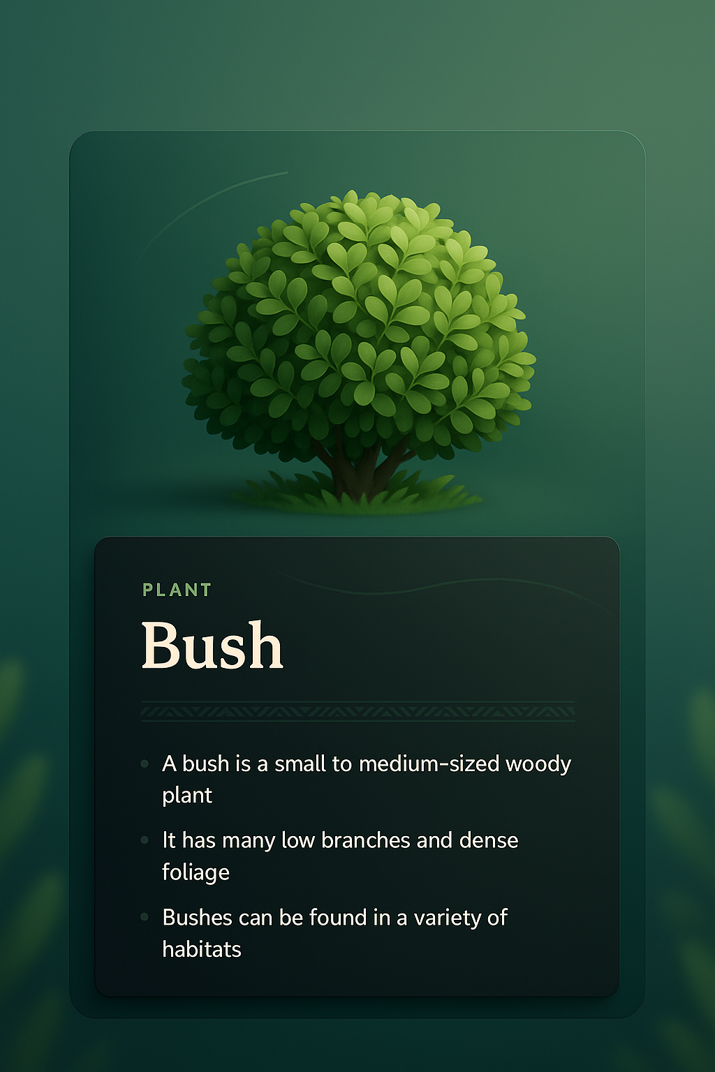 3D Web Design with Bush Illustration