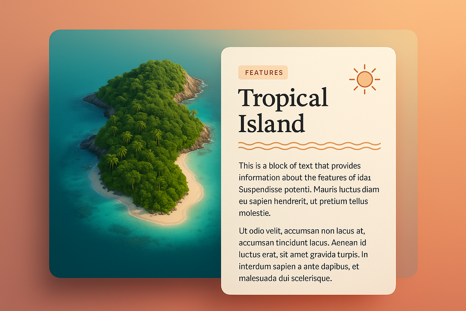 Aerial View of a Tropical Island with Features Description