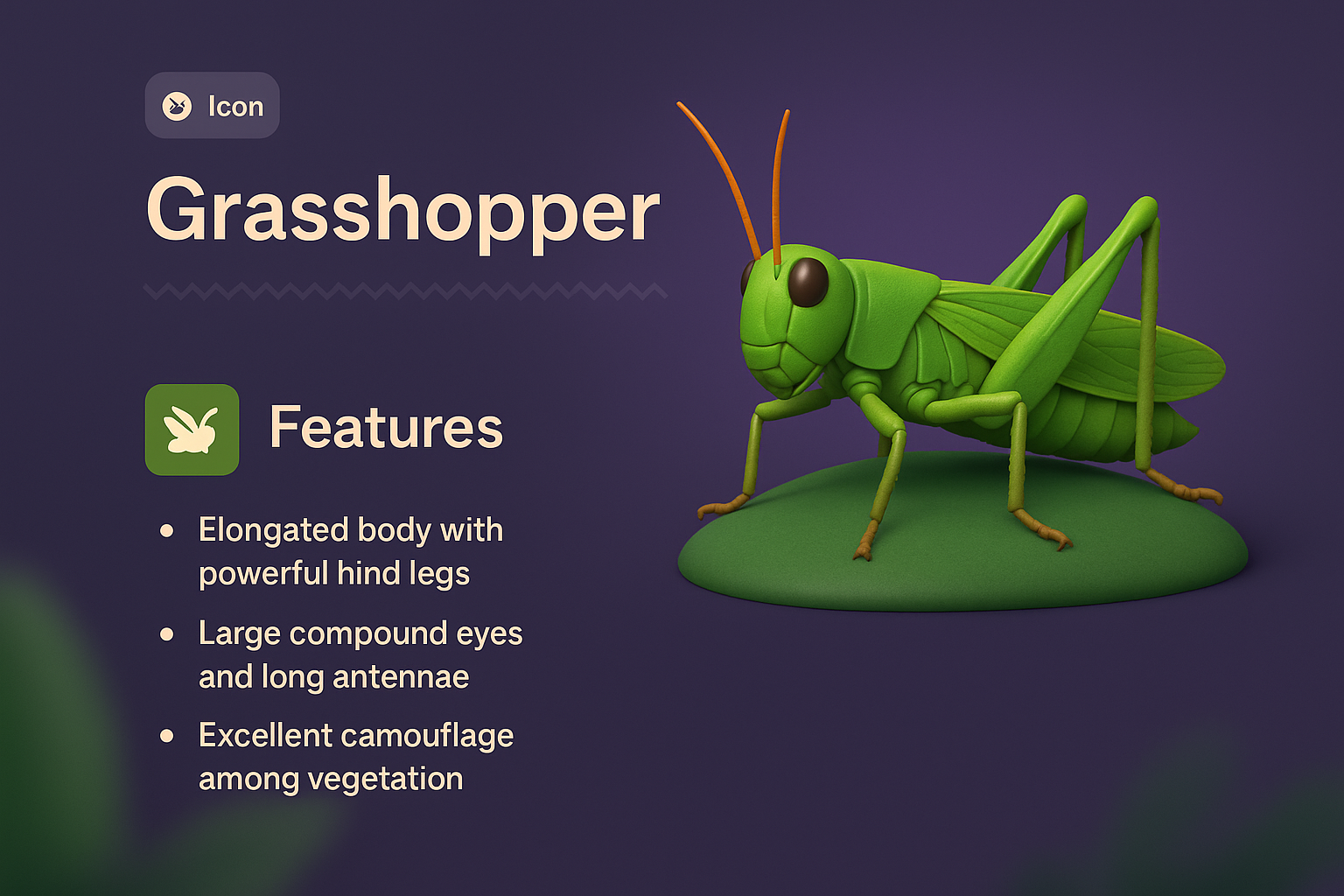 3D Grasshopper Illustration with Features Description