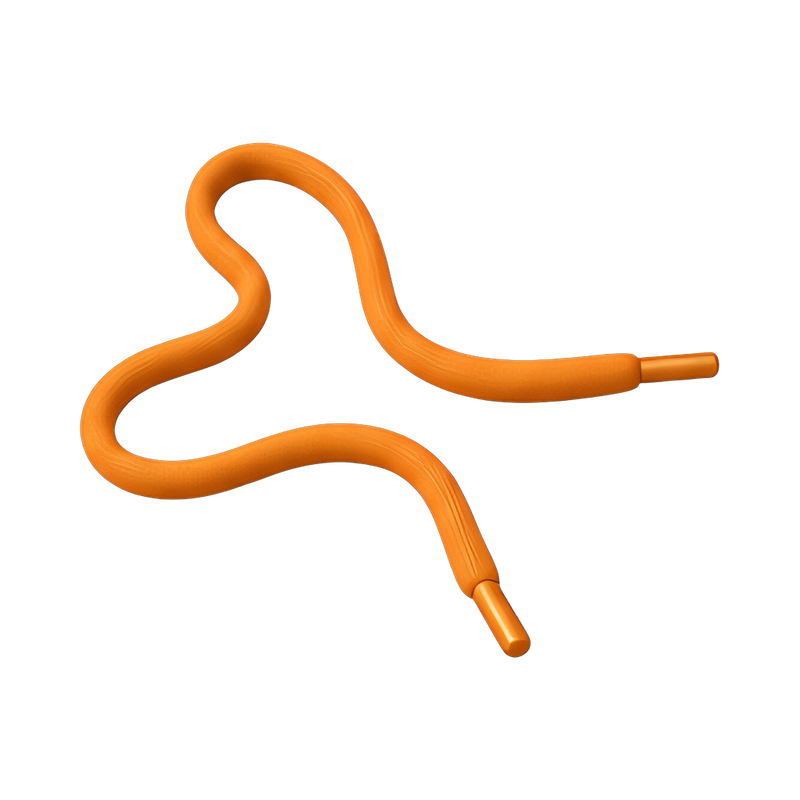 loose shoelace on pavement