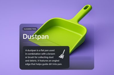 3D Illustration of a Dustpan with Informative Overlay