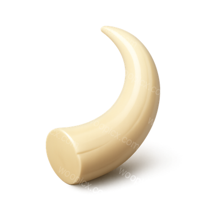 3D Ivory Tusk Icon with Isometric View