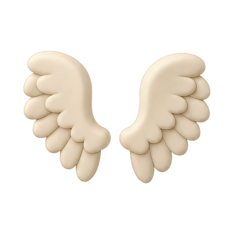 delicate pair of angel wings