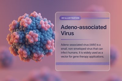 3D Illustration of Adeno-Associated Virus (AAV) for Gene Therapy