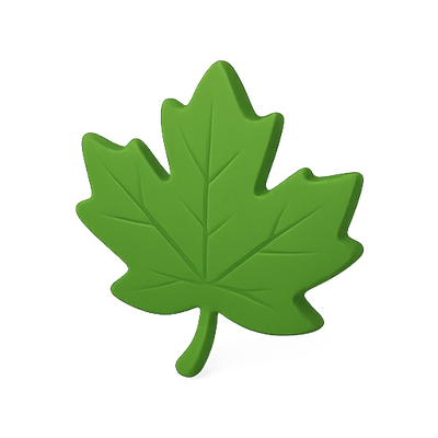 3D Stylized Green Leaf Icon with Soft Shadows