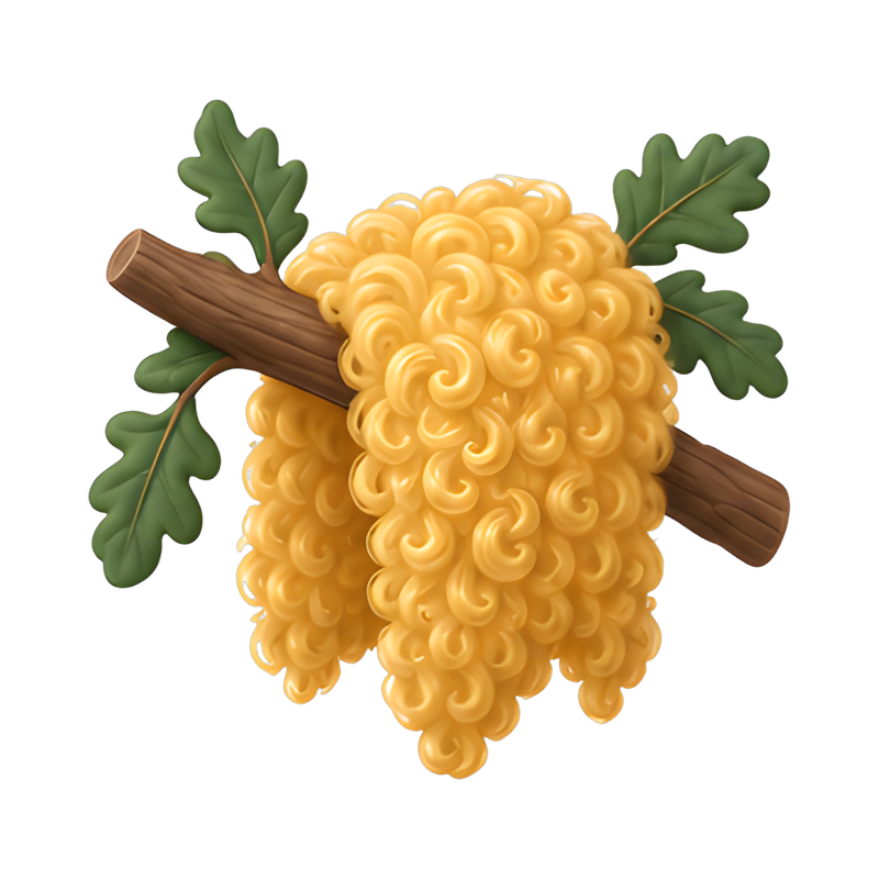 golden fleece on oak branch