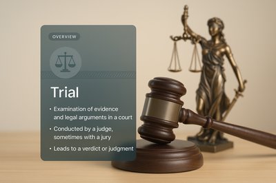 Light Design for a Judicial Website with Overlay Elements