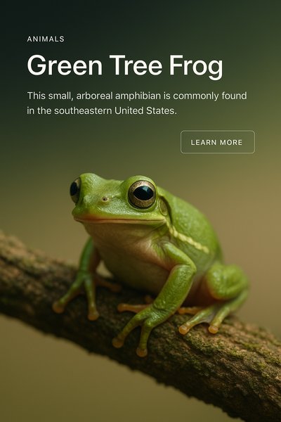 Stylish Web Page Design Featuring Green Tree Frog