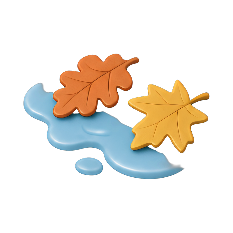 autumn leaves floating in water