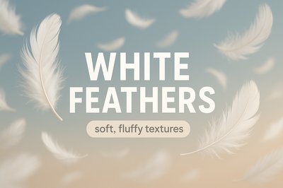 Elegant Background Featuring Soft White Feathers