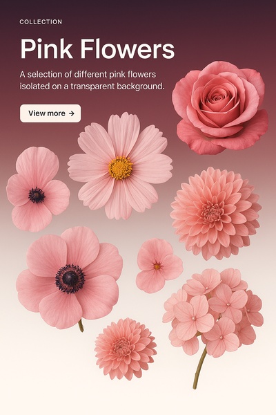 Stunning Collection of Various Pink Flowers on Transparent Background