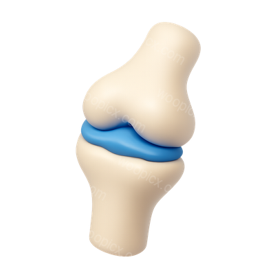 Stylized 3D Joint Icon with Isometric View