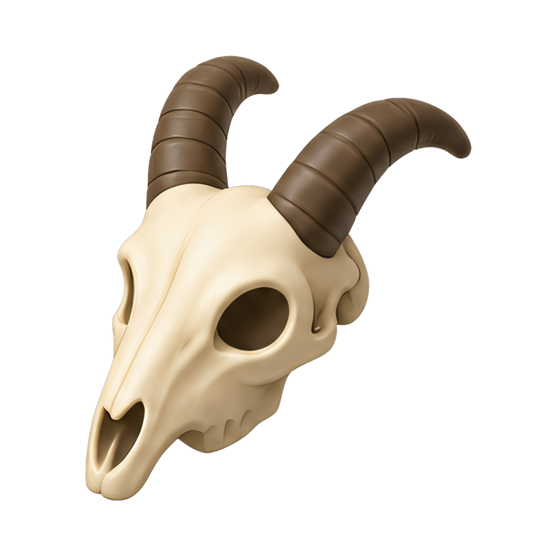 Goat skull with impressive horns