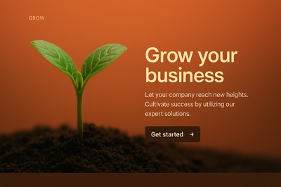 Stylish Web Design for Business Growth
