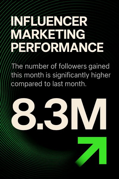Influencer Marketing Performance Data Visualization