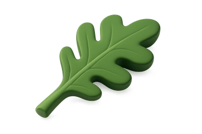 Stylized 3D Arugula Leaf Icon Design