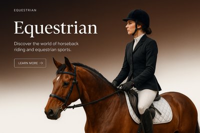 Elegant Equestrian Design for Webpage Display