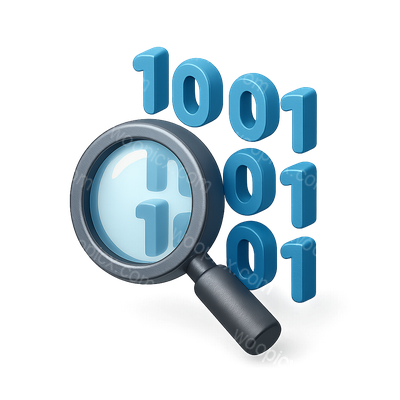 3D Data Magnifier Over Binary Code Visualization