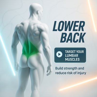 Anatomical Illustration Highlighting Lower Back Muscles
