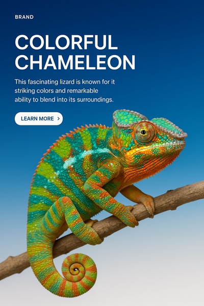 Vibrant Chameleon Against a Blue Background