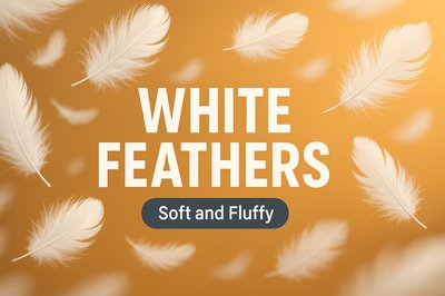 Elegant Background Design Featuring White Feathers