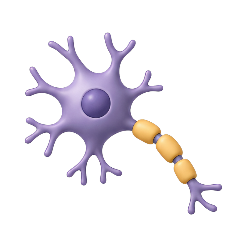 Neuron cell with dendrites