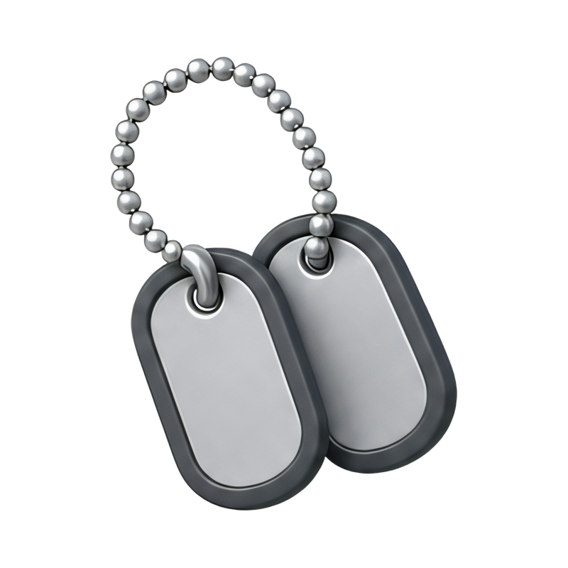 stylish dog tags on chain