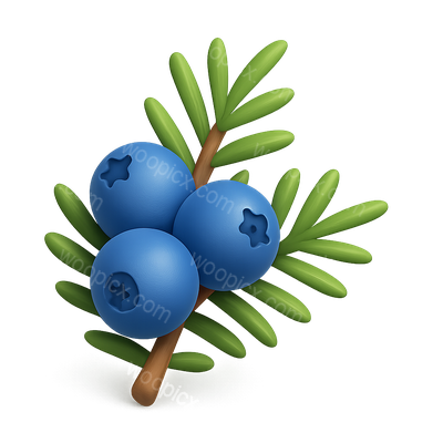 3D Juniper Bush Icon with Berries in Isometric View