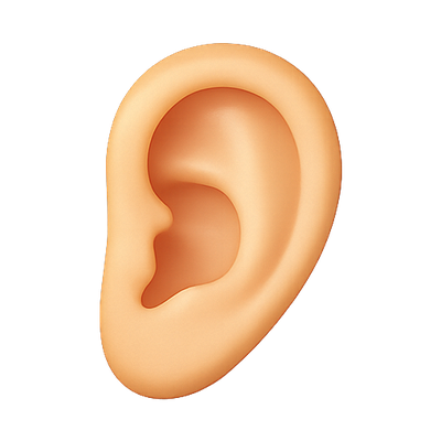 Realistic 3D Ear Illustration for Educational Use