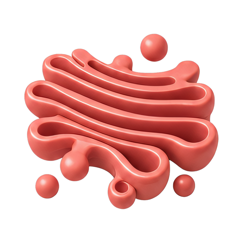 stack of golgi apparatus