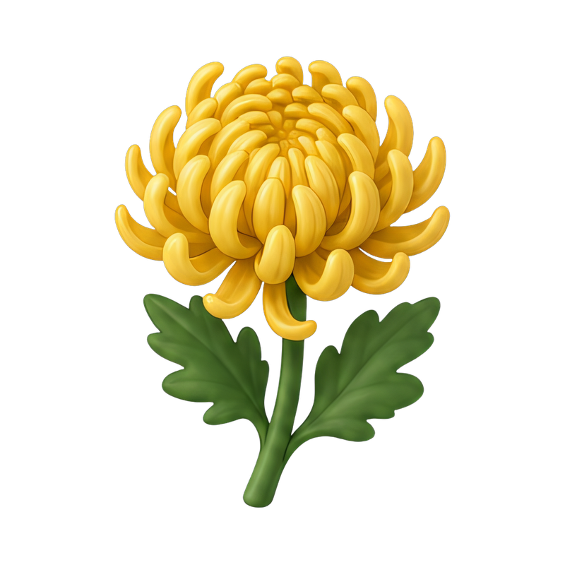 vibrant chrysanthemum bloom