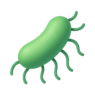 Stylized Illustration of a Green Bacterium